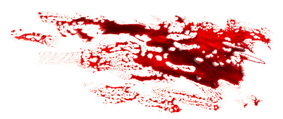 ¿CÓMO QUITAR MANCHAS DE&nbsp;SANGRE?