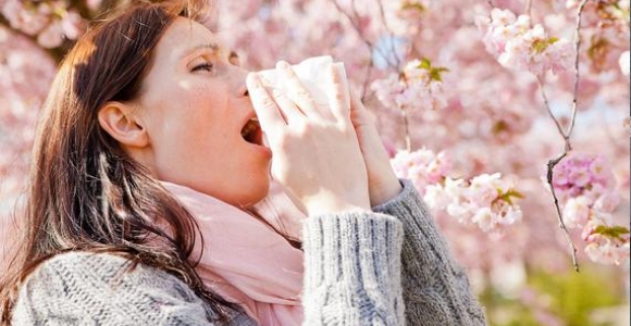 EVITAR LAS ALERGIAS EN PRIMAVERA Y&nbsp;OTOÑO