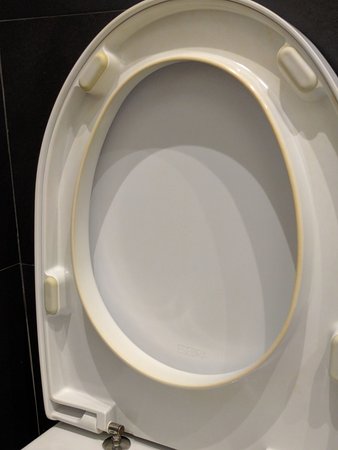 CÓMO LIMPIAR LA TAPA DEL WC CUANDO ESTÁ&nbsp;AMARILLENTA